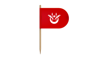 Kelantan Flag Banner flag