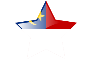 Malacca Flag Star Icon flag