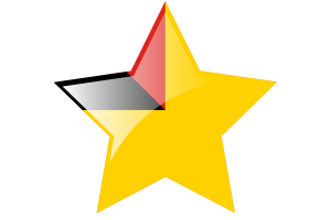 Negeri Sembilan Flag Star Icon flag