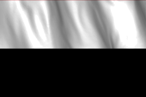 National Flag of Pahang flag