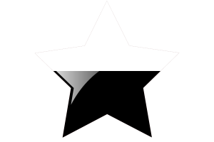 Pahang Flag Star Icon flag