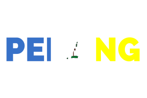Penang Text Art flag