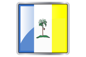 Penang Flag Square icon flag