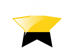 Perak Flag Star Icon flag