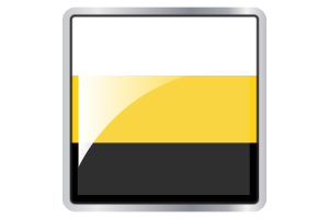 Perak Flag Square icon flag