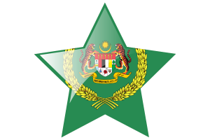 Raja Permaisuri Agong Flag Star Icon flag