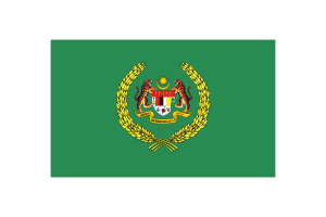Raja Permaisuri Agong Flag Vector Illustration flag