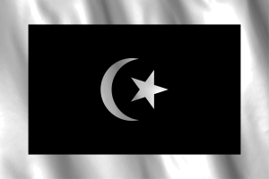 National Flag of Terengganu flag