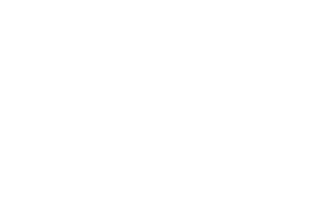 Emblem of Terengganu flag