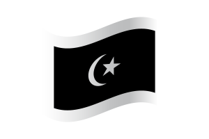 Terengganu Flag flag