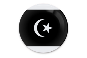 Terengganu Flag Vector Art flag