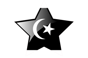 Terengganu Flag Star Icon flag
