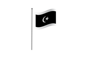 Waving Flag of Terengganu flag