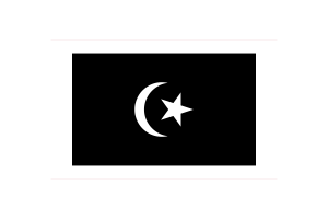 Terengganu Flag Vector Illustration flag
