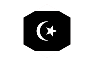 Terengganu Flag Hexagon Shape flag