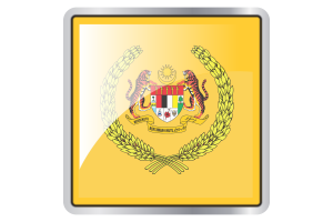 Yang di-Pertuan Agong Flag Square icon flag