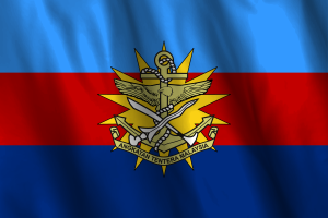 National Flag of Malaysian Armed Forces flag
