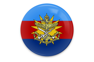 Malaysian Armed Forces Flag Vector Art flag