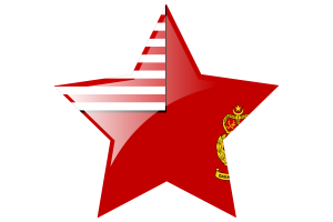 Malaysian Army Flag Star Icon flag