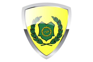 Raja of Perlis Pride Flag flag