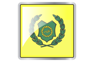 Raja of Perlis Flag Star Icon flag