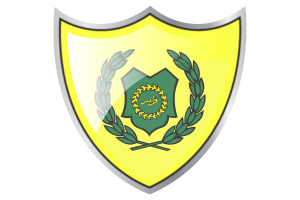 Raja of Perlis Flag Square icon flag