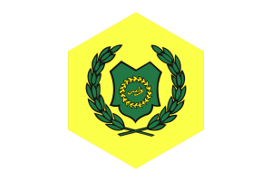 Raja of Perlis Flag Rounded Hexagon Shape flag