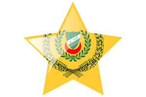 Sultan of Kedah Flag Star Icon flag