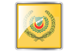 Sultan of Kedah Flag Square icon flag