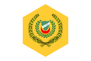 Sultan of Kedah Flag Hexagon Shape flag