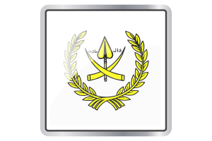 Sultan of Pahang Flag Square icon flag