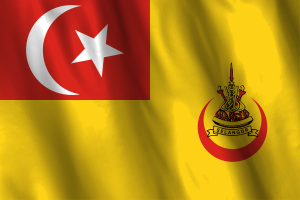 National Flag of Sultan of Selangor flag