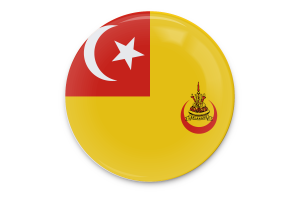 Sultan of Selangor Flag Vector Art flag