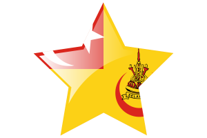 Sultan of Selangor Flag Star Icon flag