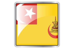 Sultan of Selangor Flag Square icon flag