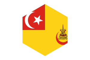 Sultan of Selangor Flag Hexagon Shape flag