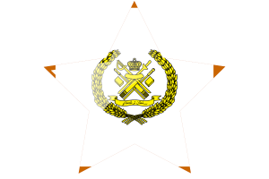 Sultan of Terengganu Flag Star Icon flag