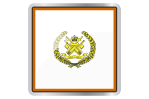 Sultan of Terengganu Flag Square icon flag