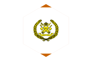 Sultan of Terengganu Flag Hexagon Shape flag
