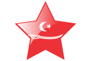 Aceh Sultanate Flag Star Icon flag