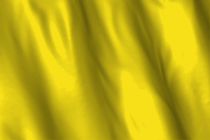 National Flag of Bruneian Sultanate flag