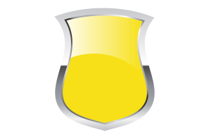 Bruneian Sultanate Pride Flag flag