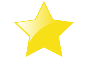 Bruneian Sultanate Flag Star Icon flag