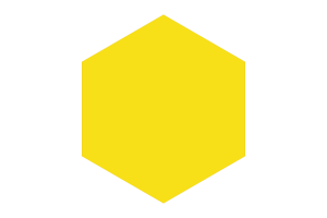 Bruneian Sultanate Flag Hexagon Shape flag