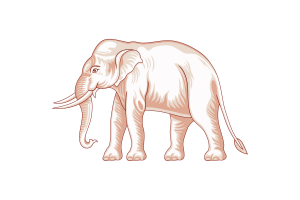 Siamese sovereignty Empire flag