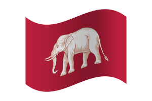 Siamese sovereignty Flag flag