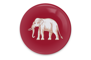 Siamese sovereignty Flag Vector Art flag