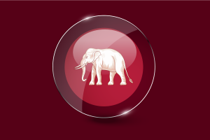 Siamese sovereignty Flag Glossy Round Button flag