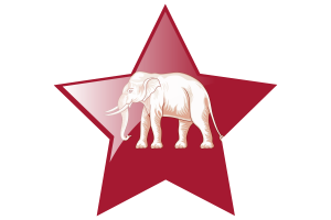 Siamese sovereignty Flag Star Icon flag