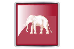 Siamese sovereignty Flag Square icon flag